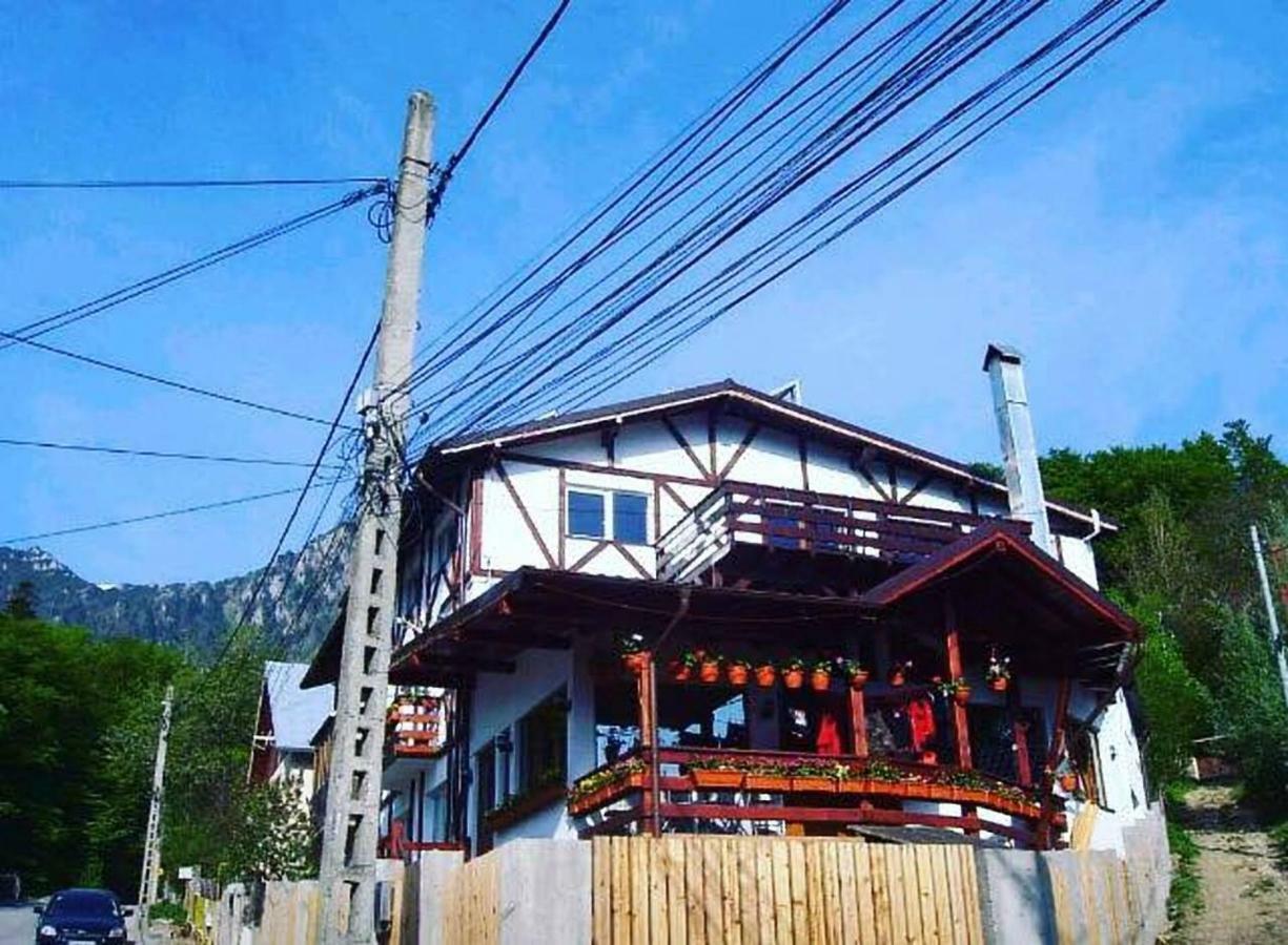 Amurguluibnb 3 Rooms Apartment With Mountain View บุชเตนี ภายนอก รูปภาพ